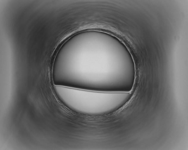 X0000116421505200912081149