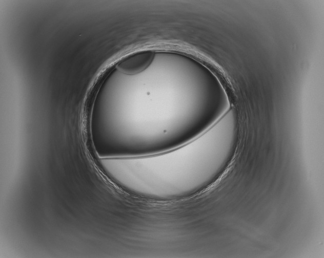 X0000116421506200912081149