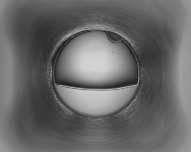 X0000116421507200912081149