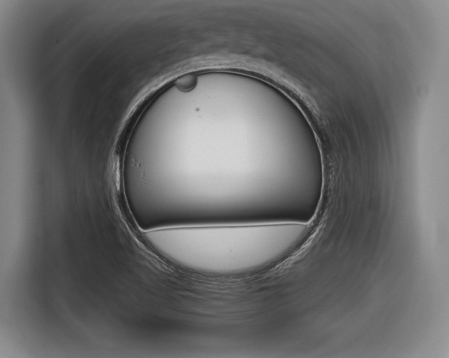 X0000116421509200912081149