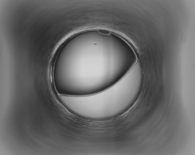X0000116421510200912081149