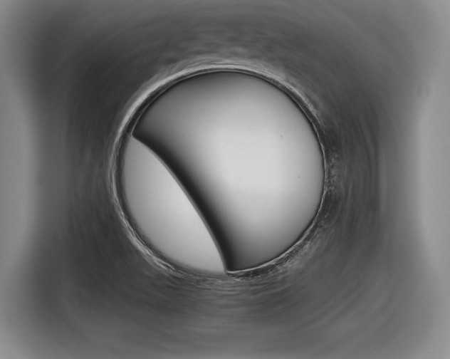 X0000116421511200912081149