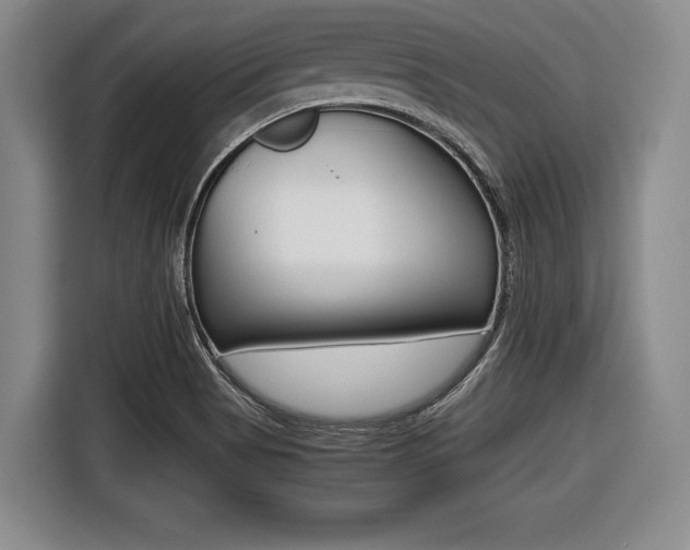 X0000116421513200912081149
