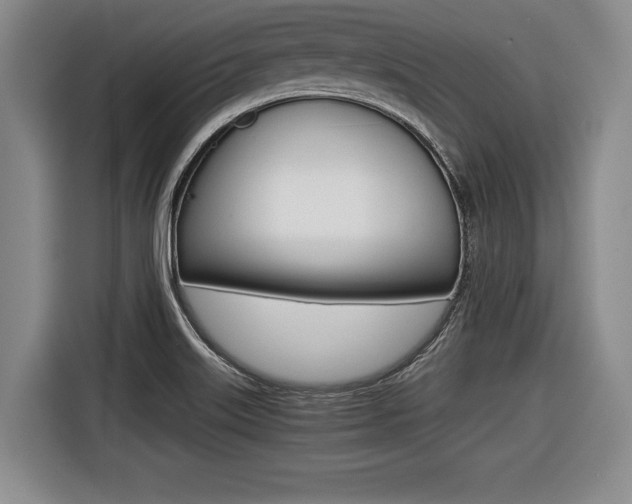 X0000116421515200912081149