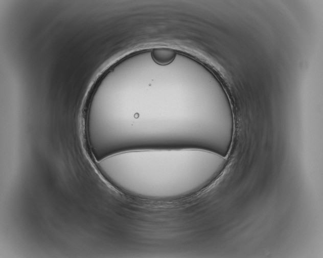 X0000116421517200912081149