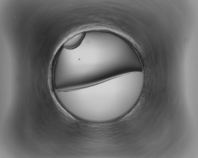 X0000116421518200912081149