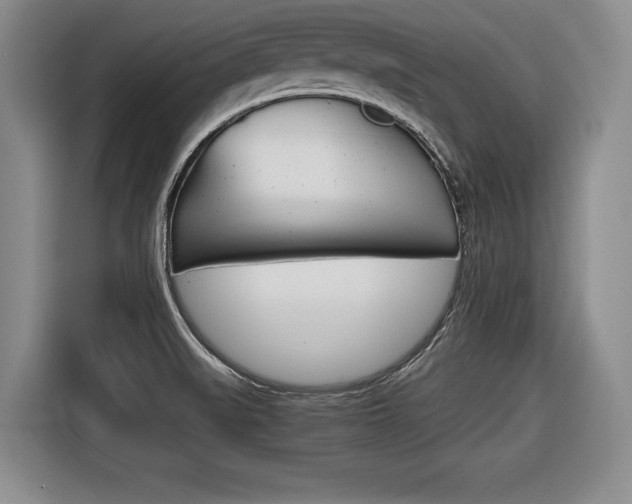 X0000116421519200912081149