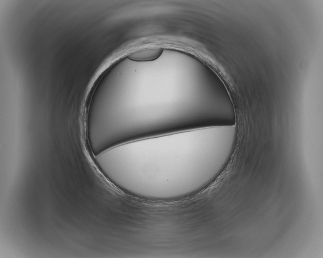 X0000116421522200912081149