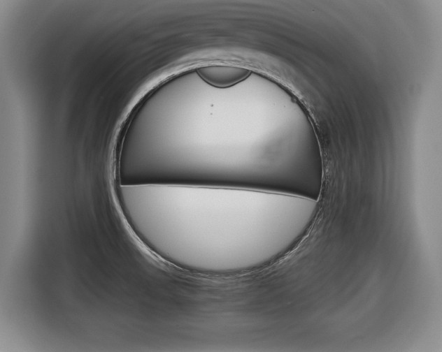 X0000116421523200912081149