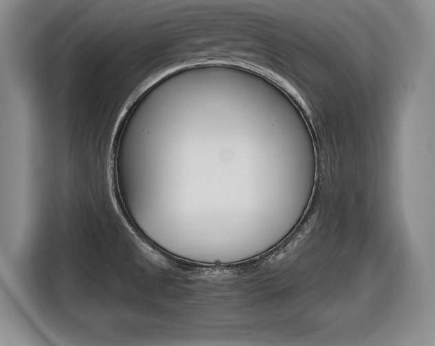 X0000116421525200912081149