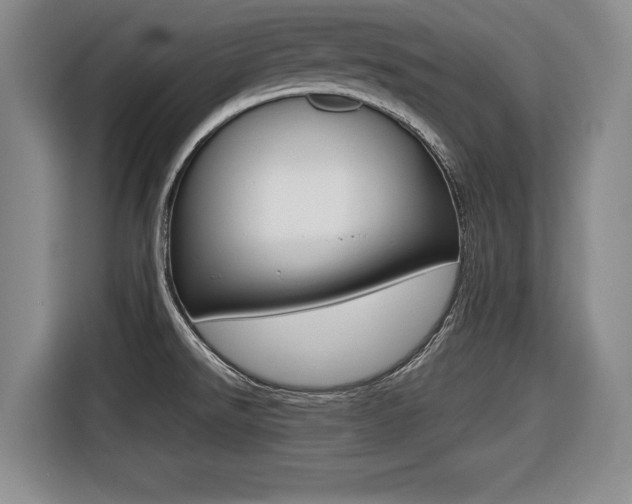 X0000116421526200912081149