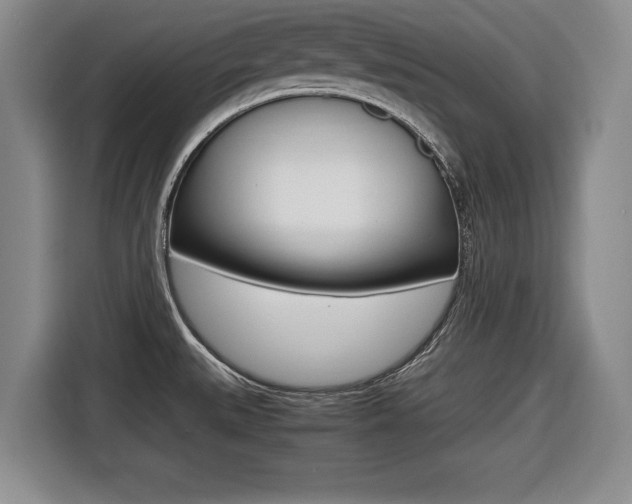 X0000116421527200912081149