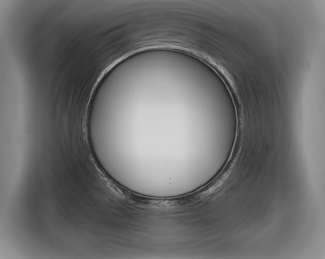 X0000116421529200912081149