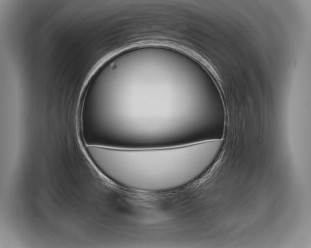 X0000116421533200912081149