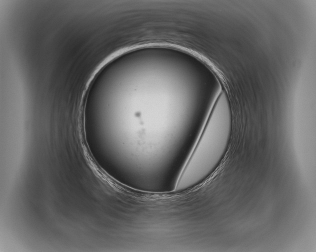 X0000116421534200912081149