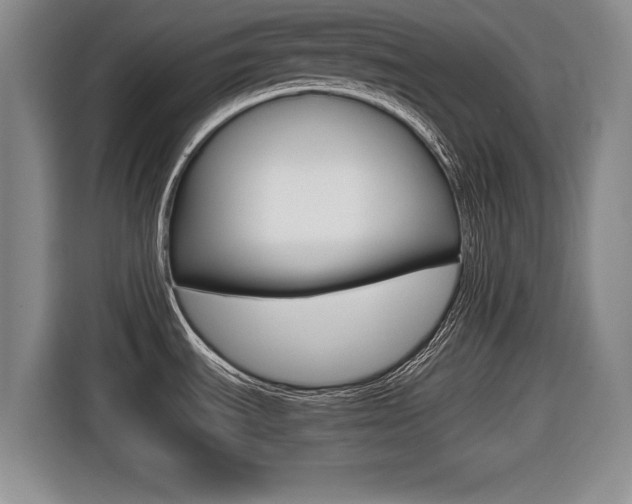 X0000116421535200912081149