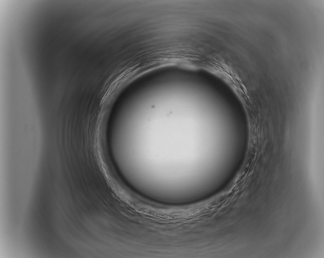 X0000116420001200912081513