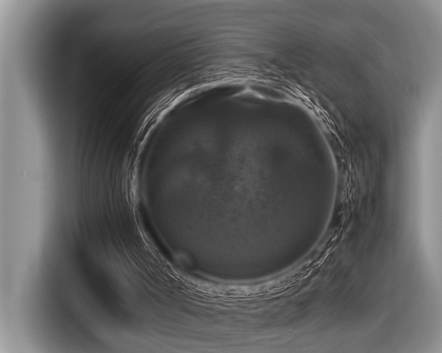 X0000116420002200912081513