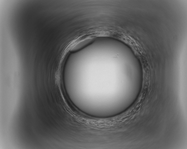 X0000116420003200912081513