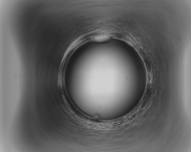 X0000116420004200912081513