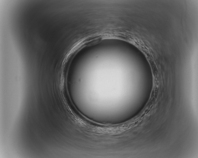 X0000116420005200912081513