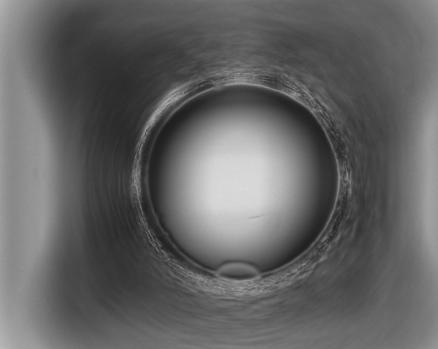 X0000116420006200912081513