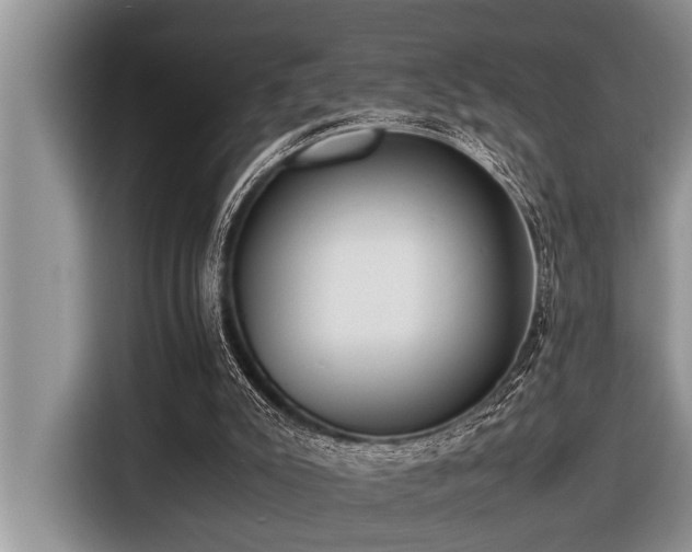 X0000116420007200912081513