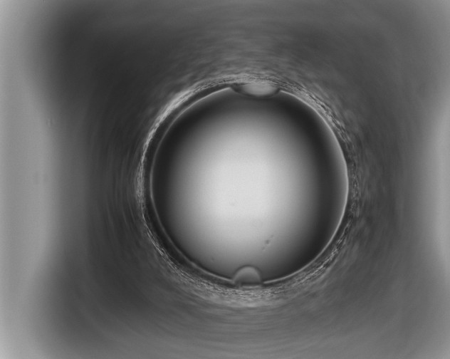 X0000116420008200912081513
