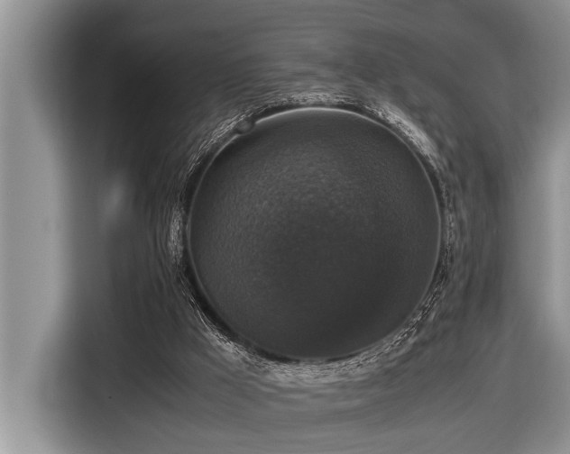 X0000116420009200912081513