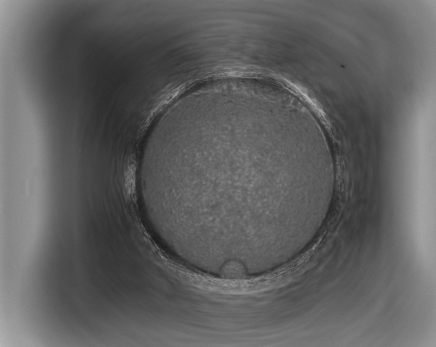 X0000116420010200912081513