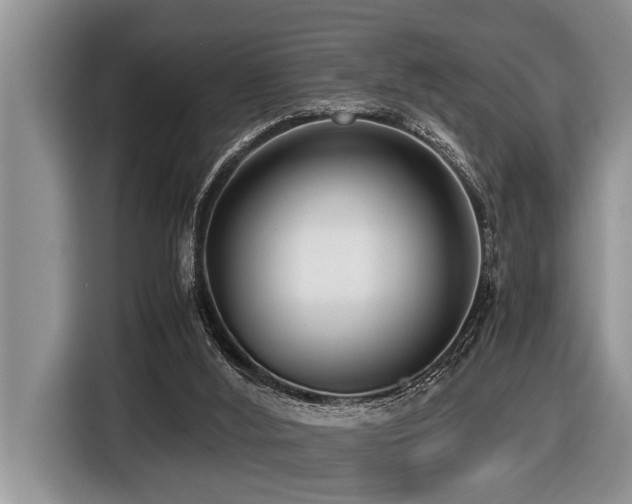 X0000116420012200912081513