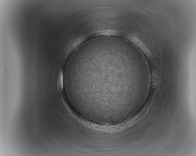 X0000116420014200912081513