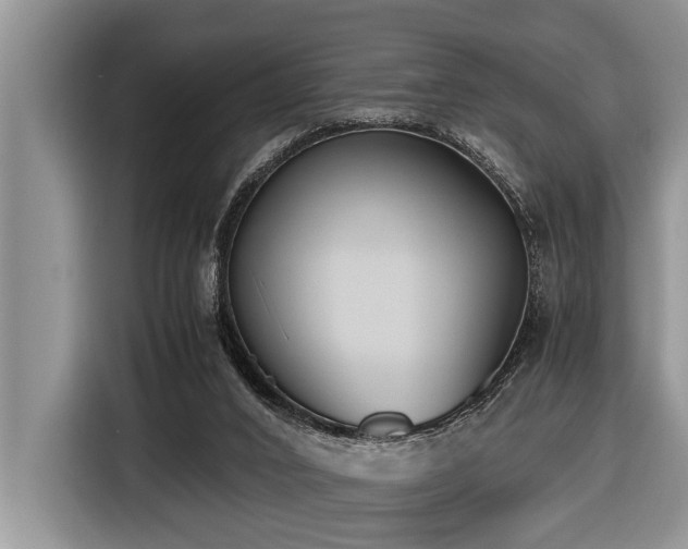 X0000116420016200912081513