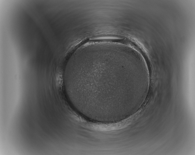 X0000116420017200912081513