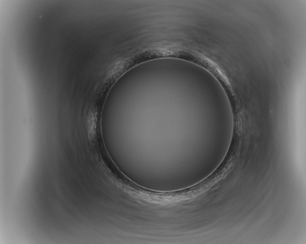 X0000116420018200912081513