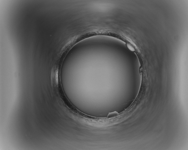 X0000116420019200912081513