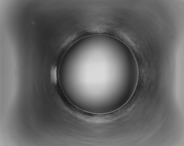 X0000116420020200912081513