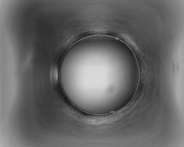 X0000116420021200912081513
