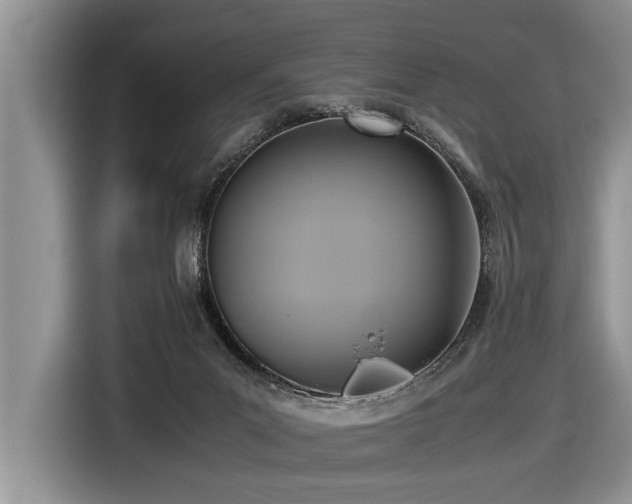 X0000116420023200912081513