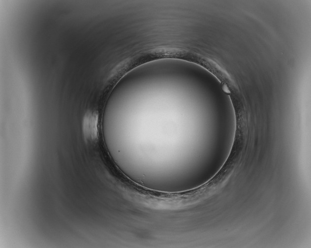 X0000116420024200912081513