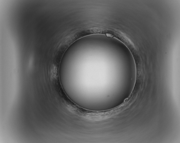 X0000116420025200912081513