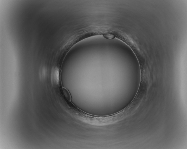 X0000116420027200912081513