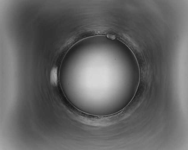 X0000116420028200912081513