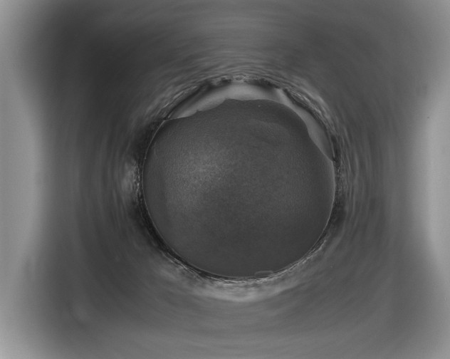 X0000116420029200912081513