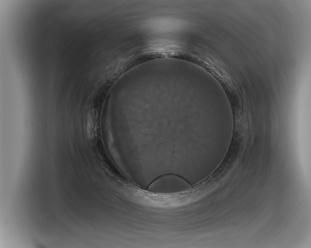 X0000116420030200912081513