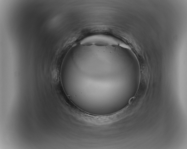 X0000116420031200912081513