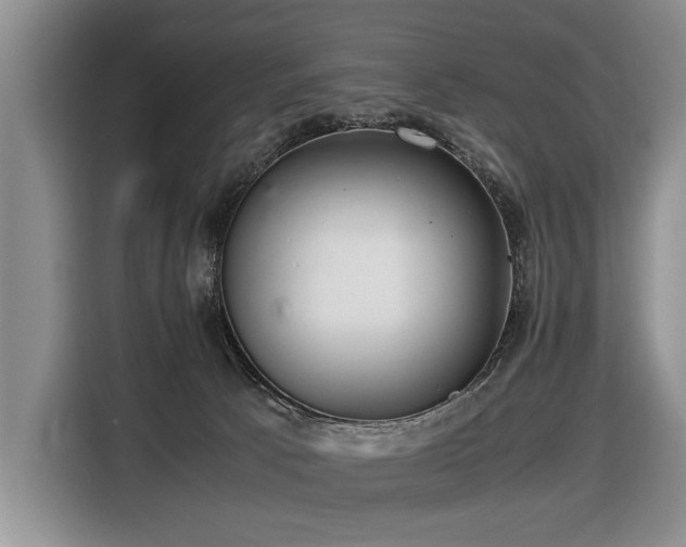 X0000116420033200912081513