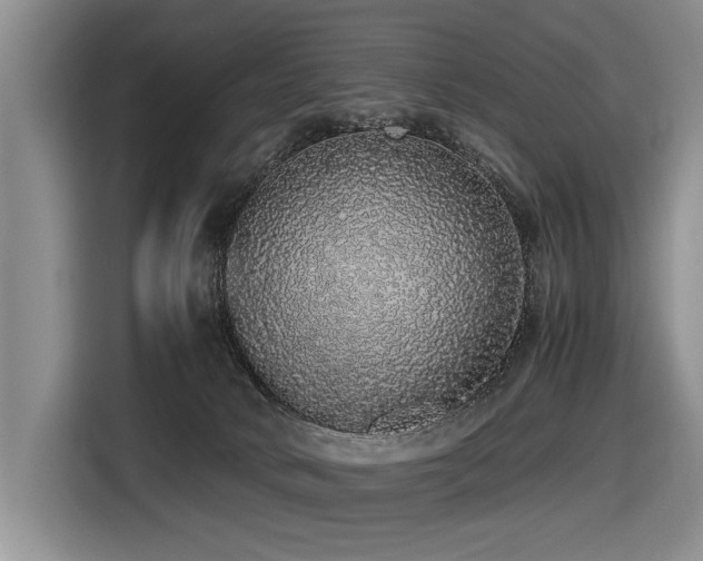 X0000116420034200912081513