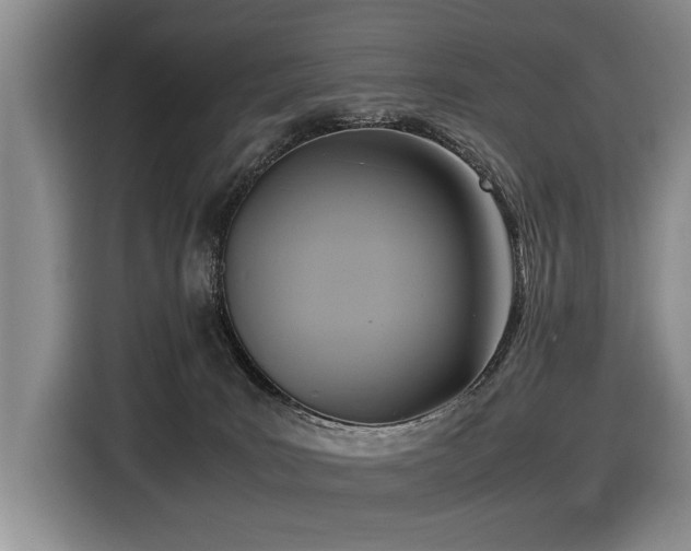 X0000116420035200912081513