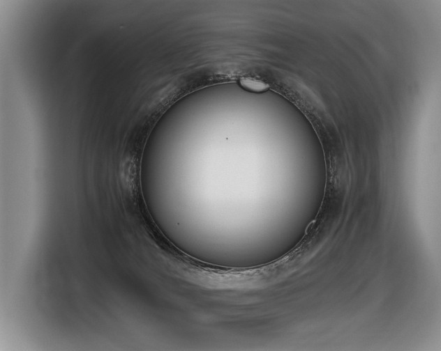 X0000116420036200912081513